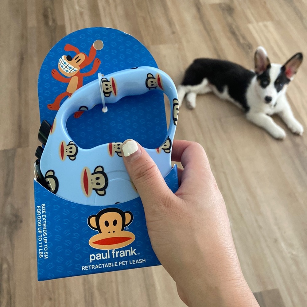 Paul Frank Retractable Pet Leash